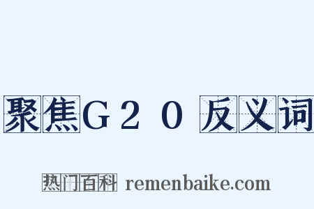 聚焦G20反义词是什么意思的图片